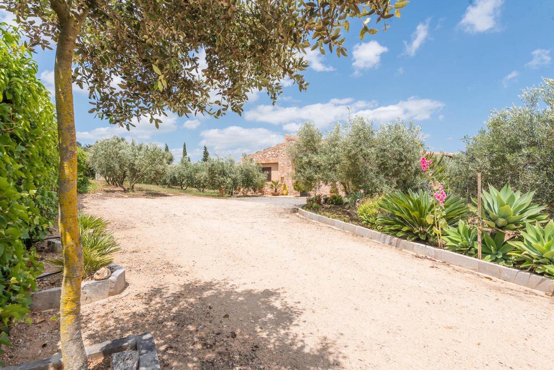 Сasa de vacaciones Ses Oliveres By Mallorca House Rent Son Carrio (Llevant)