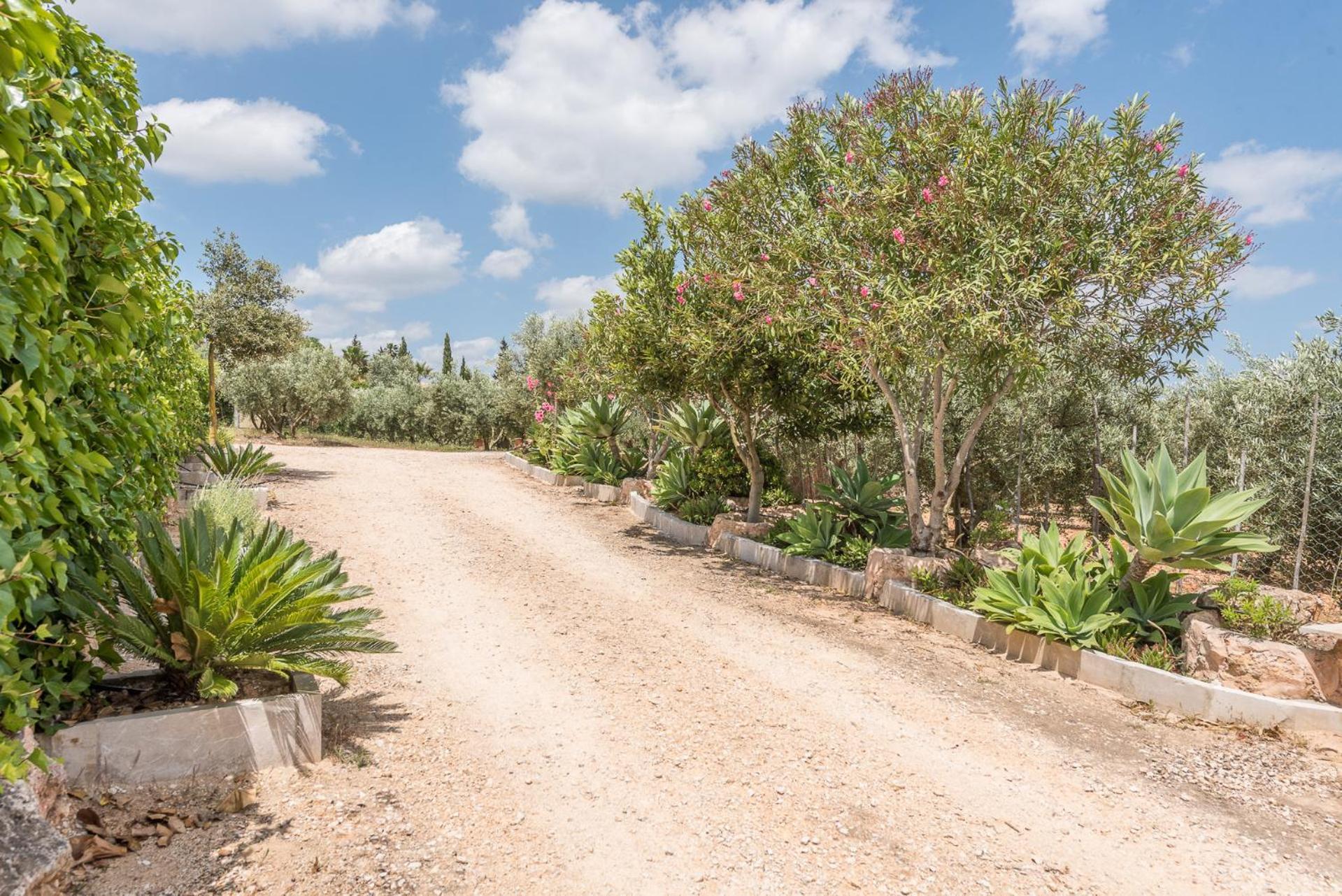Сasa de vacaciones Ses Oliveres By Mallorca House Rent Son Carrio (Llevant)